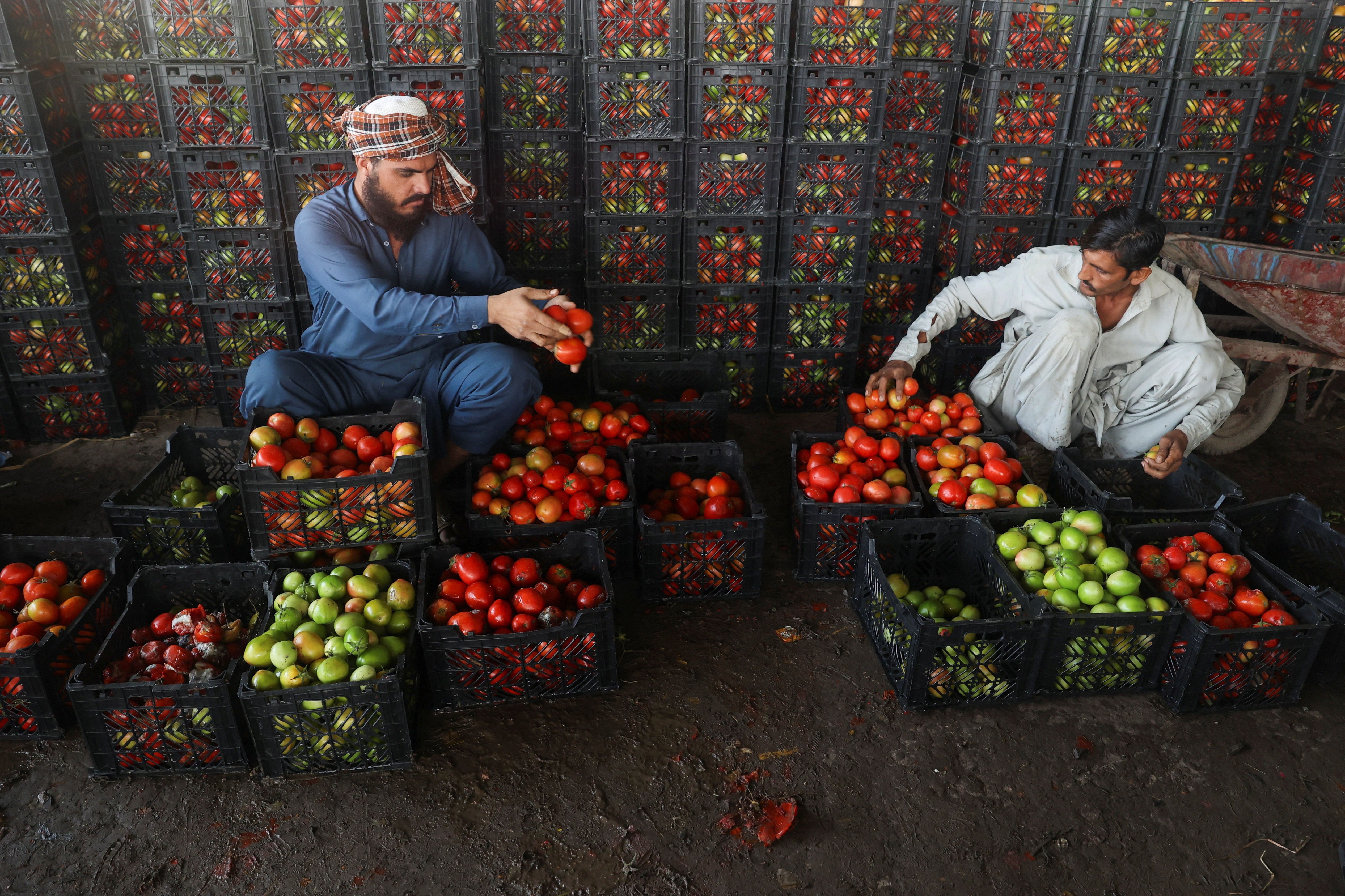 اقتصاد افغانستان در سال ۱۴۰۴؛ پنج شوک و یک بن‌بست واقعی
