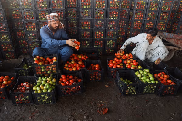 اقتصاد افغانستان در سال ۱۴۰۴؛ پنج شوک و یک بنبست واقعی