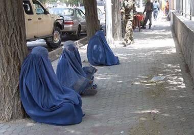 د طالبانو د کورنیو چارو وزارت: تر دې مهاله مو په کابل کې تر ۴۹ زره ډېر سوالګر ټول کړي