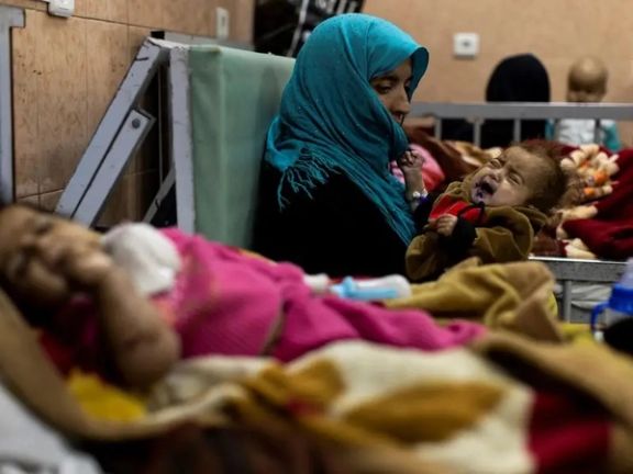 برنامه جهانی غذا: پارسال تعداد افراد مبتلا به سوءتغذیه در برخی مناطق افغانستان سه برابر شد