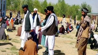 طنز سیاسی؛ کانکور بهاری ۱۴۰۲ افغانستان