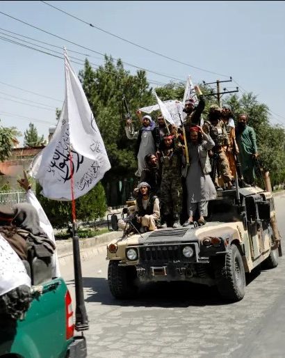 تلگراف: افراد قدرتمند طالبان از القاعده محافظت و حمایت میکنند