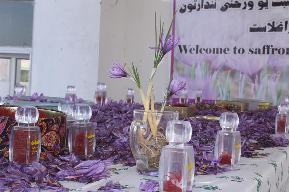 کندهار کې د زعفرانو لپاره د بازار موندنې نندارتون جوړ شو