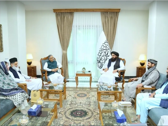 Should Not Be Suspicious About Each Other’s Intentions, Muttaqi Tells Pakistani Officials