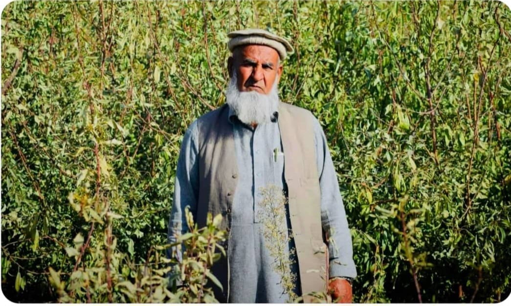 طالبان: په لوګر کې مو د یوه قومي مشر د وژنې په تړاو ۳ مشکوک کسان نیولي دي