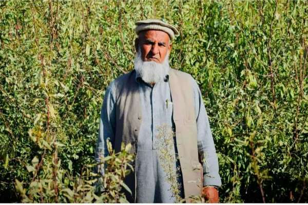 طالبان: په لوګر کې مو د یوه قومي مشر د وژنې په تړاو ۳ مشکوک کسان نیولي دي