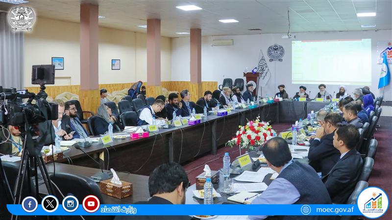 د طالبانو د اقتصاد وزیر:د بهرنیو موسسو د کارکوونکو معاشونه او اداري لګښتونه ډېر دي