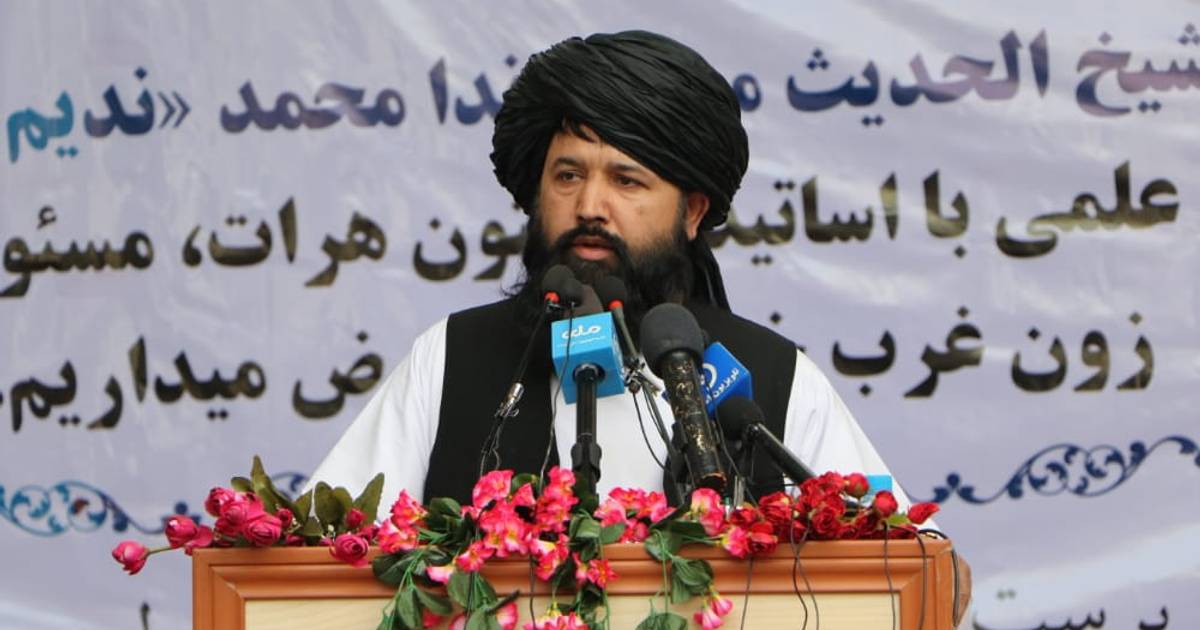 ندا محمد ندیم: له هېواده بهر مو څو پلاوي لېږلي چې د پوهنتونونو استادان ...