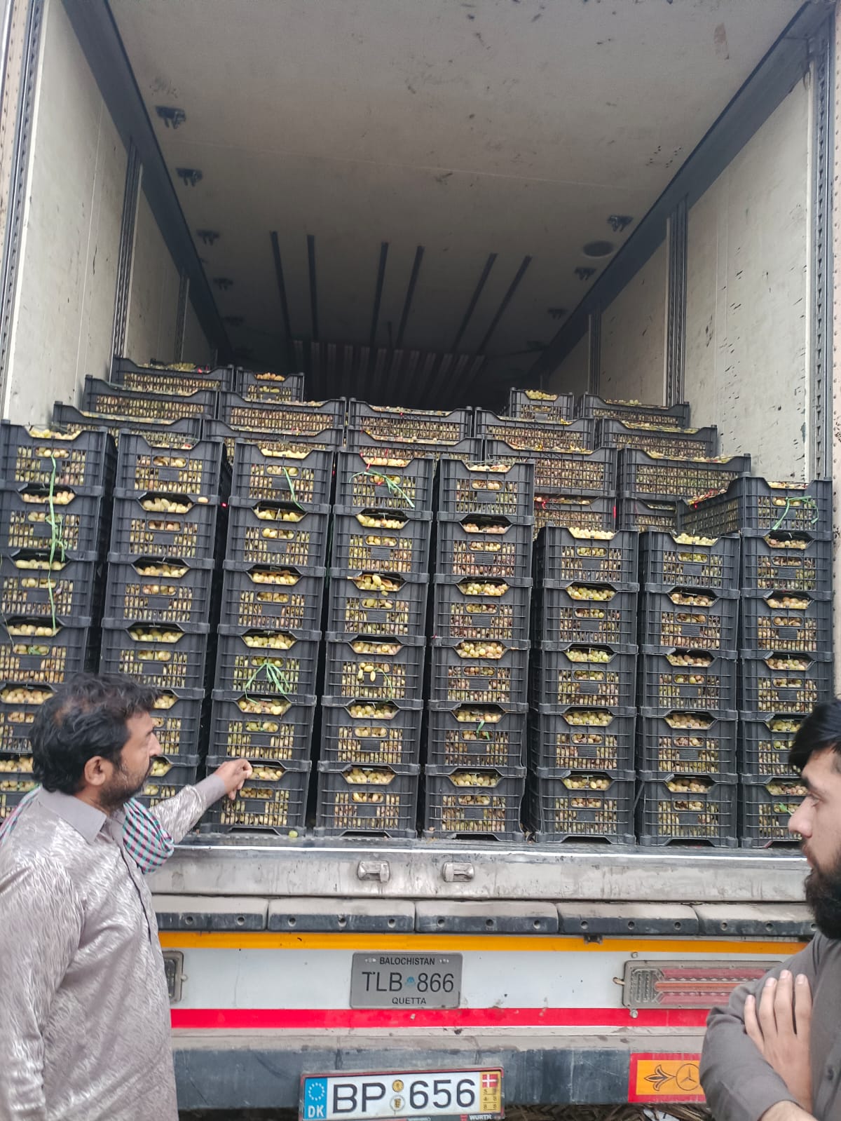 کندهار کې د انګورو موسم؛ سوداګر د پاکستاني ویزو ترلاسه کولو کې له ګڼو ستونزو سره مخ دي