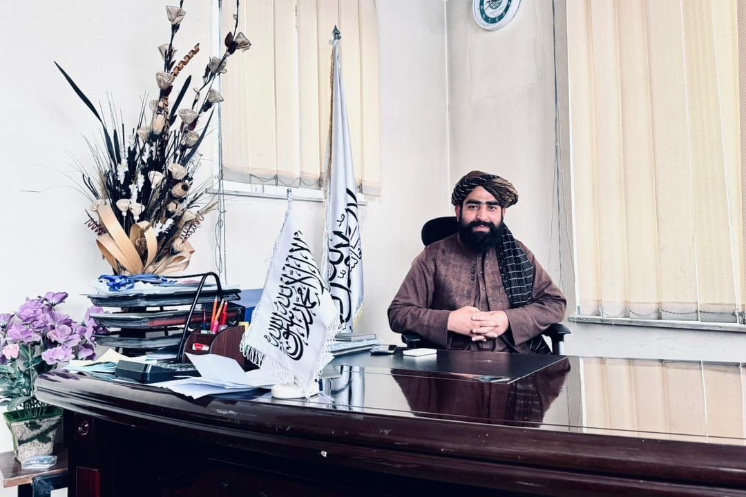 سرچینې: د شهاب الدین دلاور په هڅو محکمې د طالبانو د کانونو وزارت د عوایدو رییس بري کړ