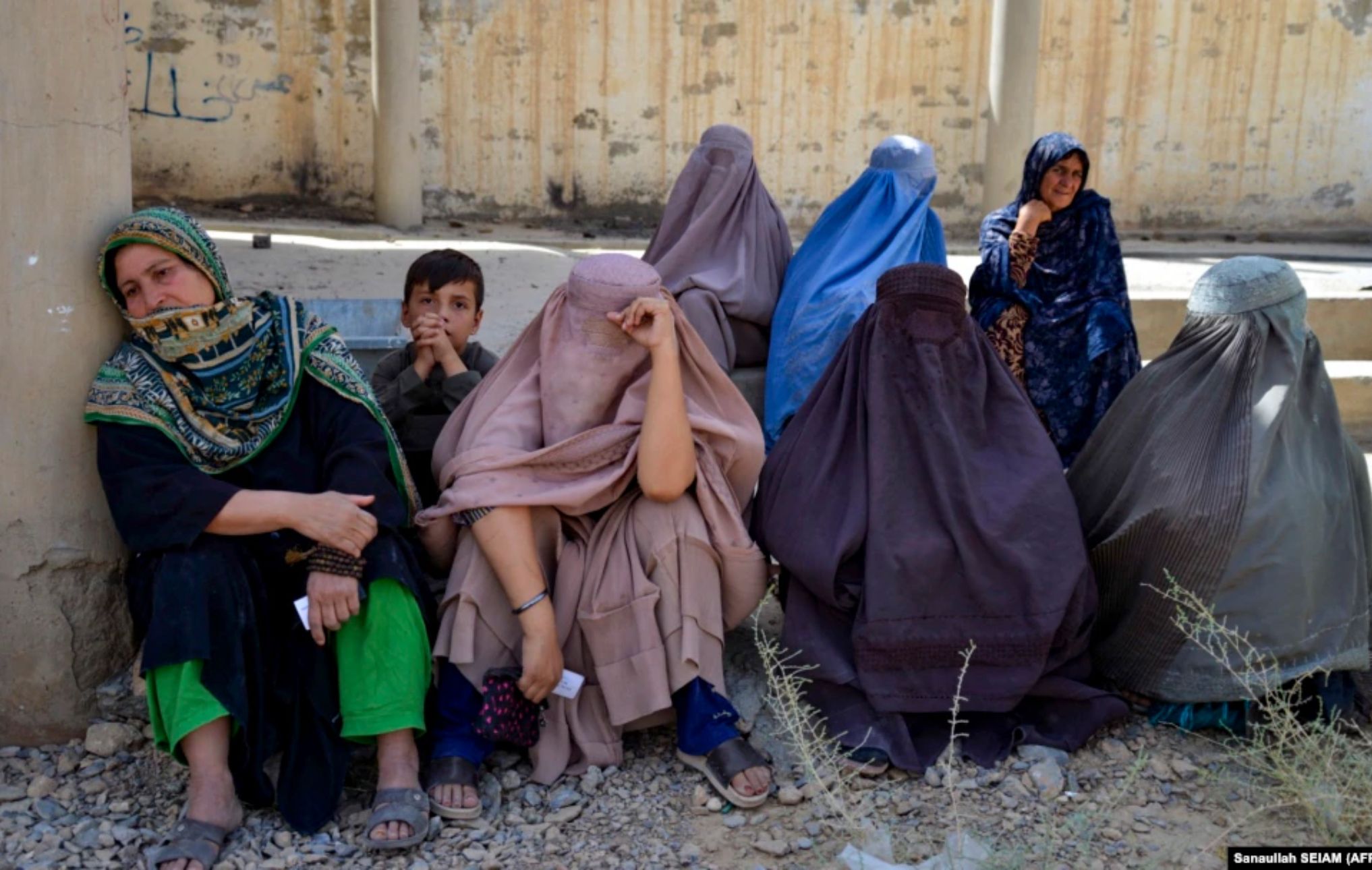 ملګري ملتونه: له هرو دریو، دوه هغه افغانې کورنۍ چې ښځې یې سرپرستي کوي کافي خواړه نه لري