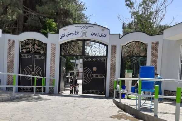 د کابل ښاروالۍ: کابل ژوبڼ کې ۱۰۰ ډوله ژوي ساتل کېږي او د لیدونکو شمېر زیات شوی