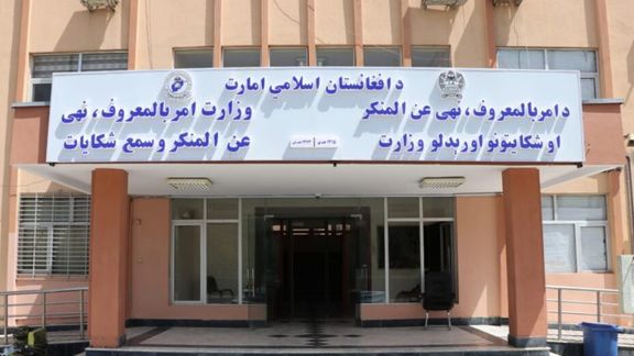 د طالبانو امربالمعروف وزارت وایي په ۴ ولایتونو کې د کوډ ګرو یوه «مسلکي» ډله نیول شوې