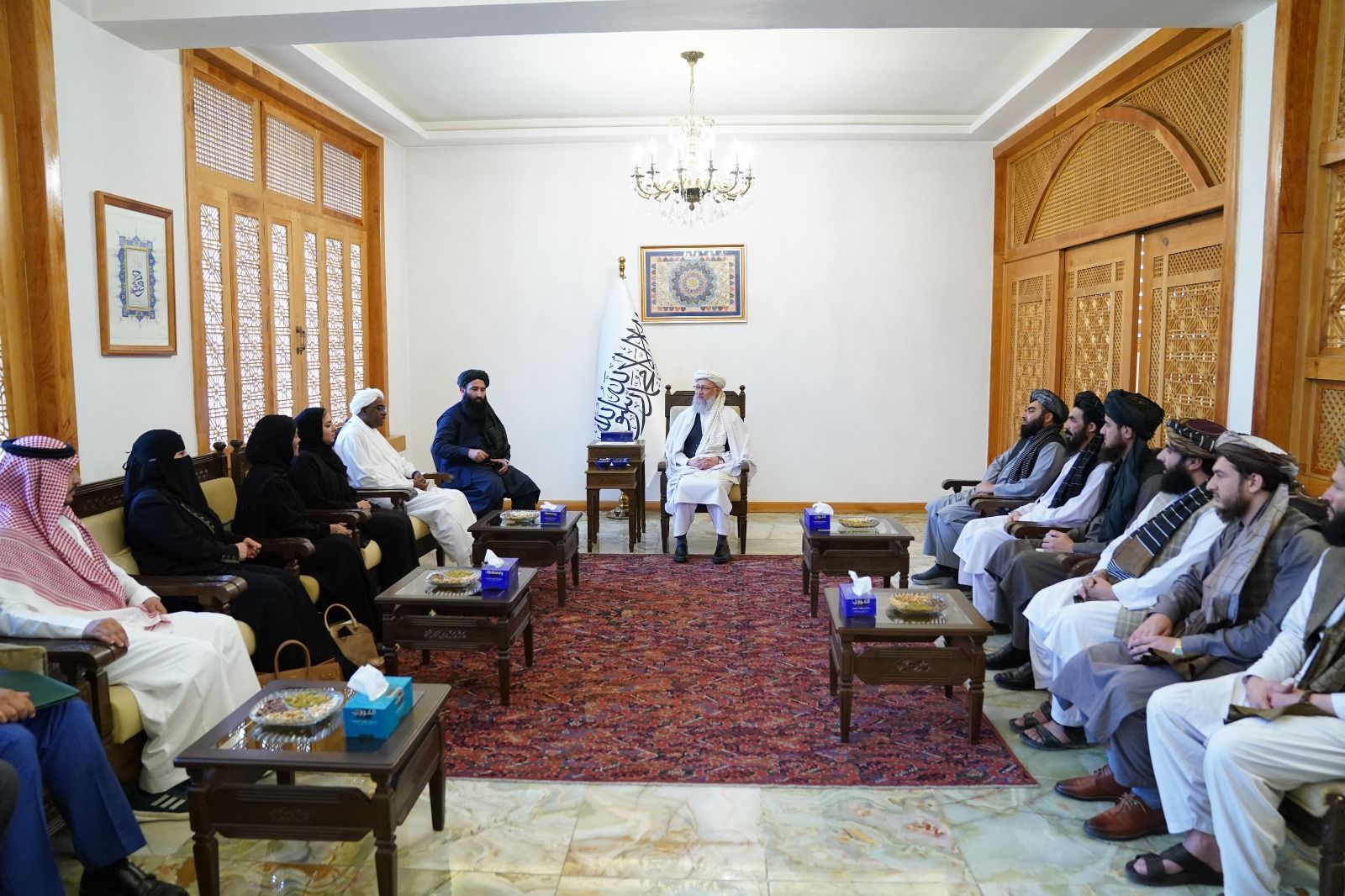 معاون رئیس‌الوزرای طالبان: سازمان همکاری‌ اسلامی مشکلات افغانستان را در جهان انعکاس دهد