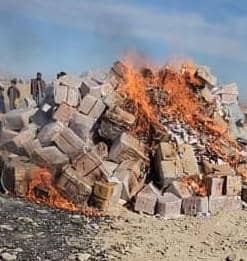 طالبانو په نیمروز کې تر ۷۰۰ کارټنو ډېر قاچاق شوي درمل سوځولي دي