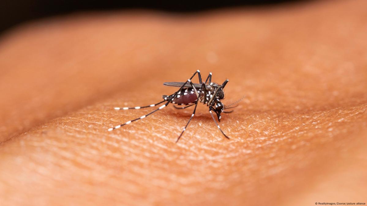 د روغتیا نړۍوال سازمان: افغانستان کې په اګست میاشت کې د ملاریا تر ۱۲زرو ډېرې پېښې ثبت شوې