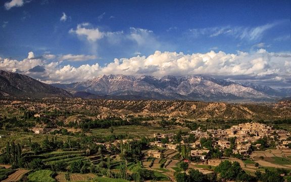پکتیا کې د ځمکې پر سر جنجال کې د طالبانو په ډزو اته تنه ژوبل شول او ۴۰ نور یې بندیان کړل