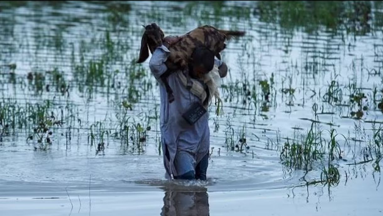 بیش از ۳۰ میلیون نفر تحت تاثیر سیل قرار گرفتند؛ پاکستان وضعیت اضطراری اعلام کرد