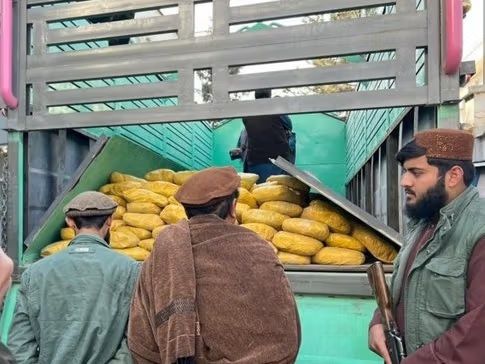 طالبان: په ۲۰۲۵ کال کې د نشه‌یي توکو پر ضد تر ۱۰ زرو ډېر عملیات شوي