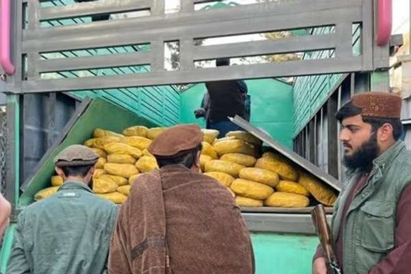 طالبان: په ۲۰۲۵ کال کې د نشهیي توکو پر ضد تر ۱۰ زرو ډېر عملیات شوي