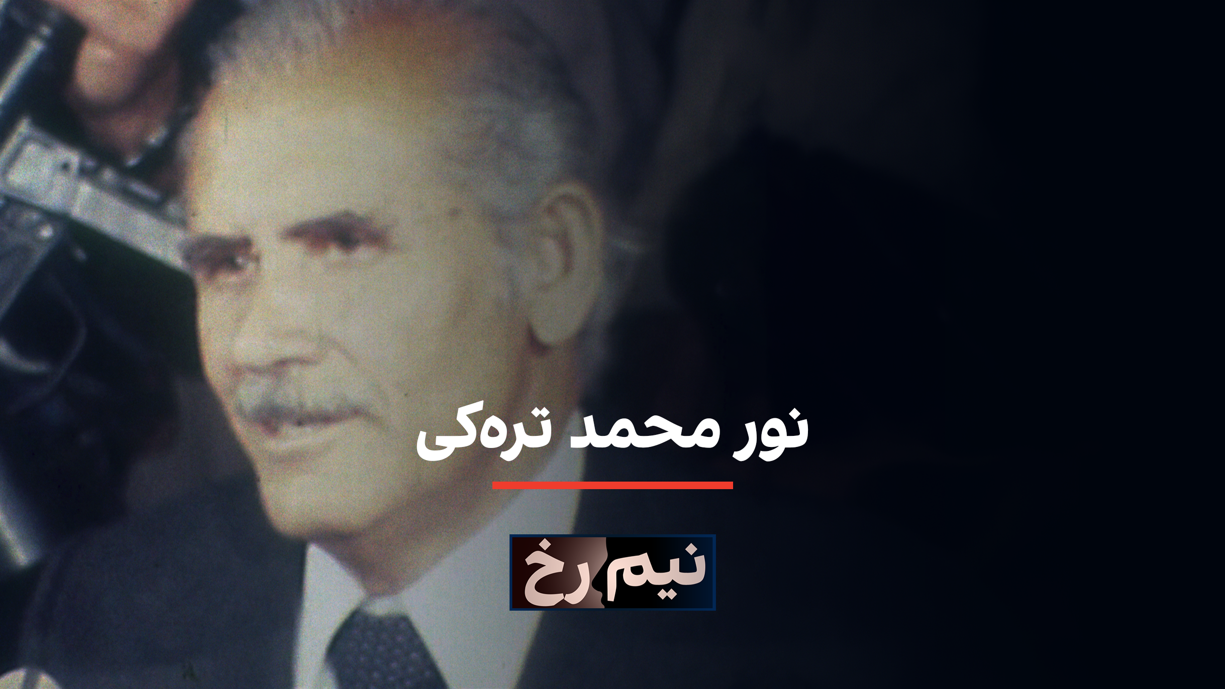 نیم‌رخ:  نور محمد تره‌کی
