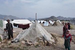 شورای پناهندگان ناروی نسبت به وخامت وضعیت بیجاشدگان در پی درگیری با پاکستان هشدار داد