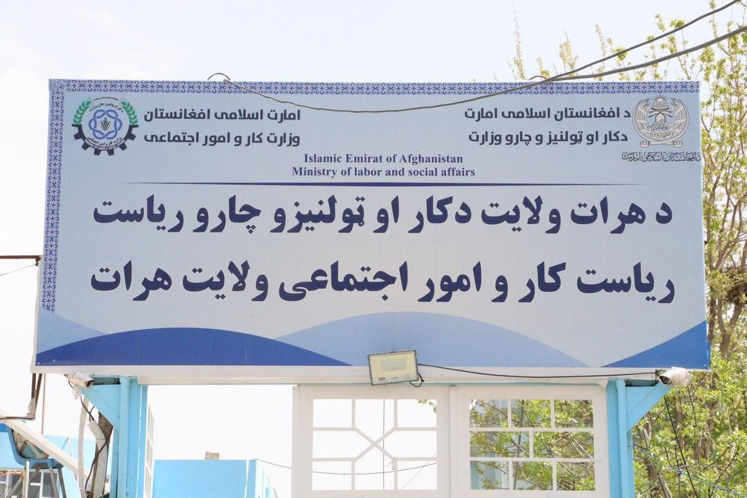 طالبانو په هرات کې څه باندې ۲۵۰۰ کورنیو او نږدې ۱۰۰ بهرنیو وګړو ته د کار جوازونه وېشلي دي