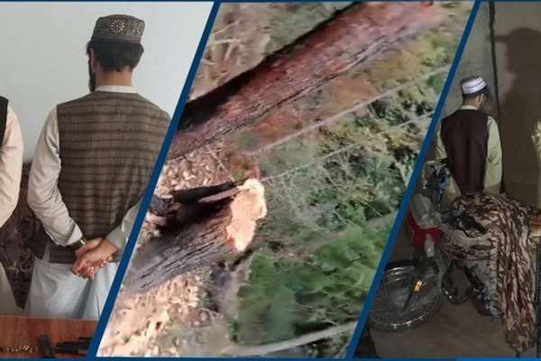 طالبانو په ۲۴ ساعتونو کې ۳۳ کسان د بېلابېلو جرمونو په تور نیولي
