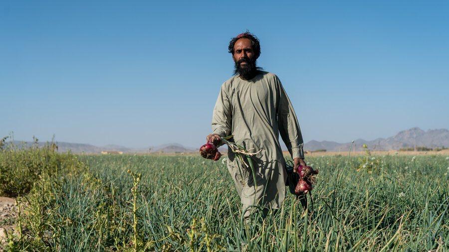 سازمان ملل از کمک ۱۶ میلیون دالری اتحادیه اروپا به جوامع  روستایی افغانستان خبر داد