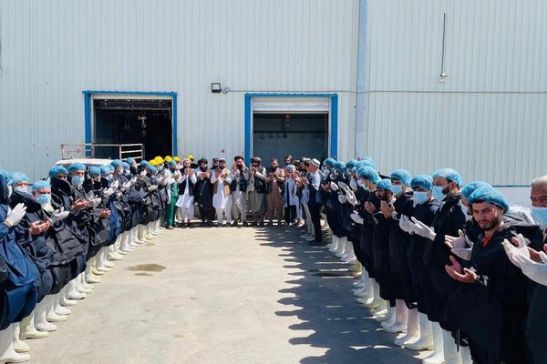 طالبانو په ازمویښتي ډول له افغانستان نه د غوښې صادرات پېل کړل