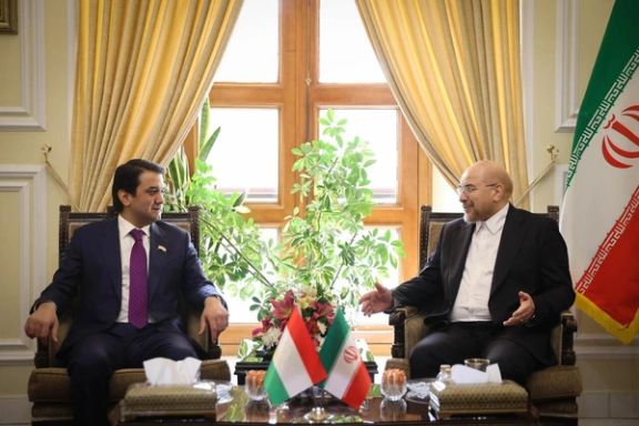 د ایران د پارلمان رییس: داعش په افغانستان کې د ګاونډیو هېوادونو د ناامنۍ په لټه کې دی