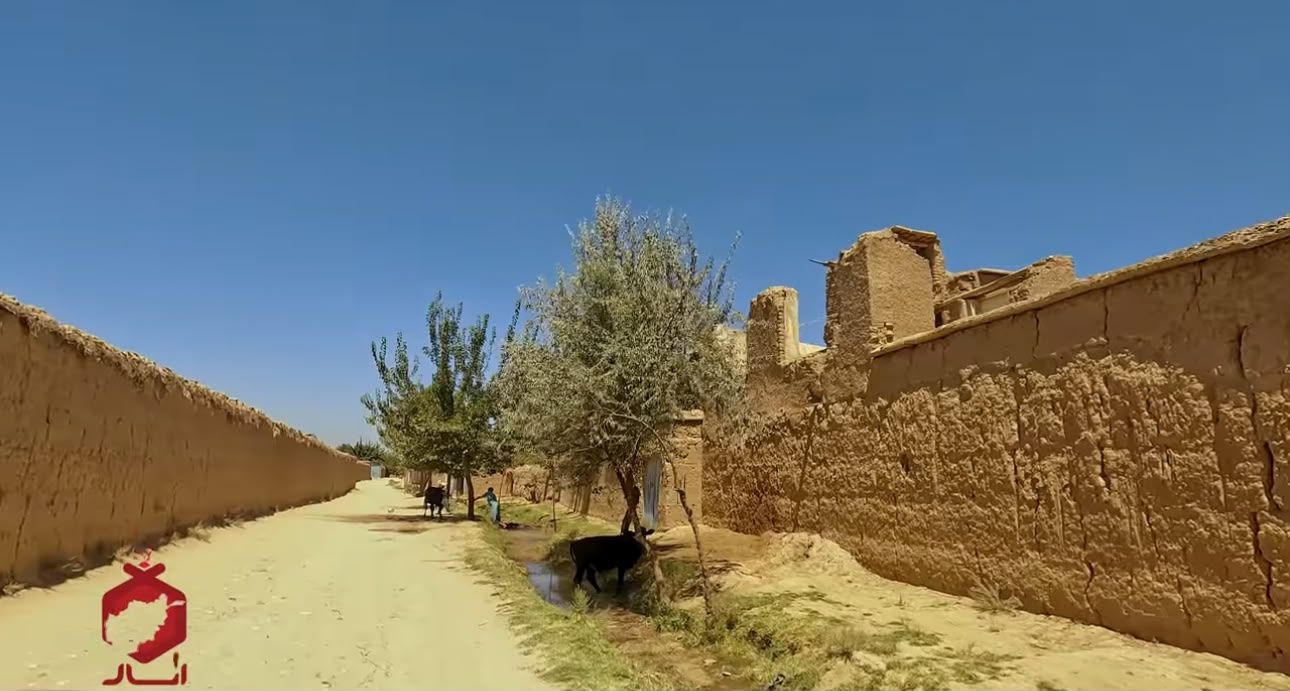 پدری در کابل دختر ۱۴ ساله خود را به‌دلیل 'گفت‌وگو با یک پسر کشت'