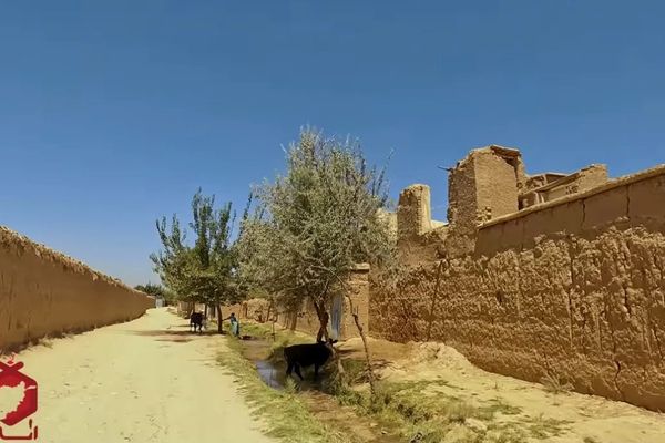 پدری در کابل دختر ۱۴ ساله خود را بهدلیل 'گفتوگو با یک پسر کشت'