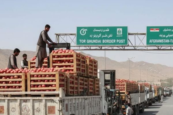 د طالبانو سوداګرۍ وزارت: د افغانستان تولیدات اوس د پاکستان پرځای نورو هېوادونو ته صادریږي