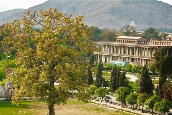 «طالبان مرا مجبور ساختند برایشان آواز بخوانم»