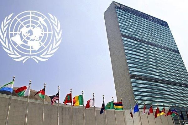 د ملګرو ملتونو کارپوهان: هرات کې د ښځو نیول او د زور کارول له نړیوالو قوانینو سرغړونه ده