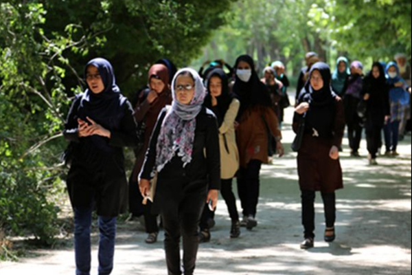Global Views on Afghan Girls’ Education No Longer Attracts Attention, Says Ex-MP