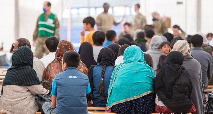 د ټرمپ ادارې د پاکستانیانو په ګډون له ۷ زرو ډېر ناقانونه کډوال نیولي او له امریکا یې باسي