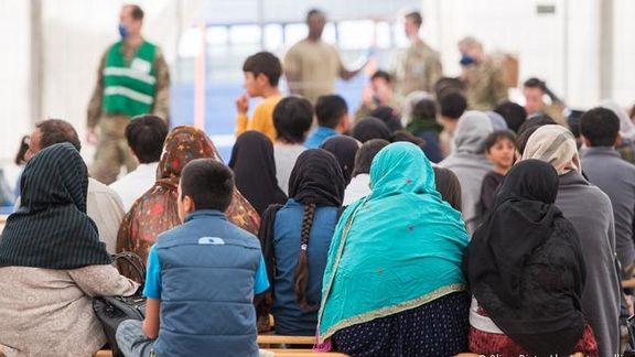 د ټرمپ ادارې د پاکستانیانو په ګډون له ۷ زرو ډېر ناقانونه کډوال نیولي او له امریکا یې باسي