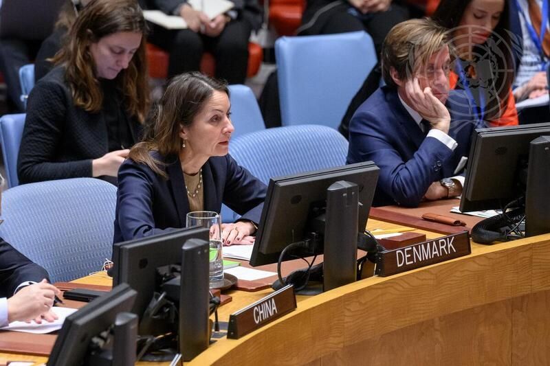 دنمارک در سازمان ملل: داعش خراسان در پی بی‌ثبات کردن منطقه است