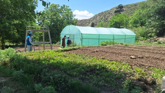 سازمان ملل از ساخت دو هزار گلخانه هوشمند در افغانستان خبر داد
