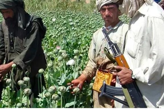 UN Sanctions Committee: Key Taliban Officials Involved In Drug Production & Trafficking
