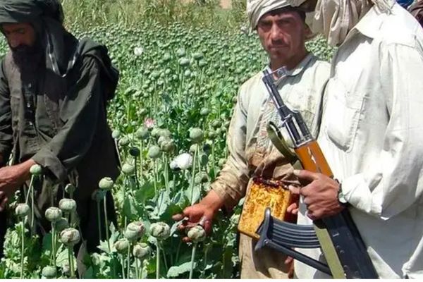 UN Sanctions Committee: Key Taliban Officials Involved In Drug Production & Trafficking