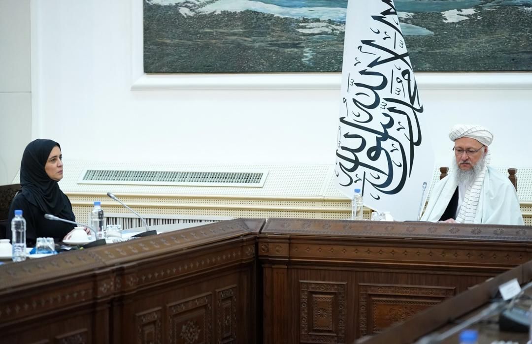 حنفی خواهان واگذاری کرسی افغانستان به طالبان در سازمان بهداشت جهانی شد