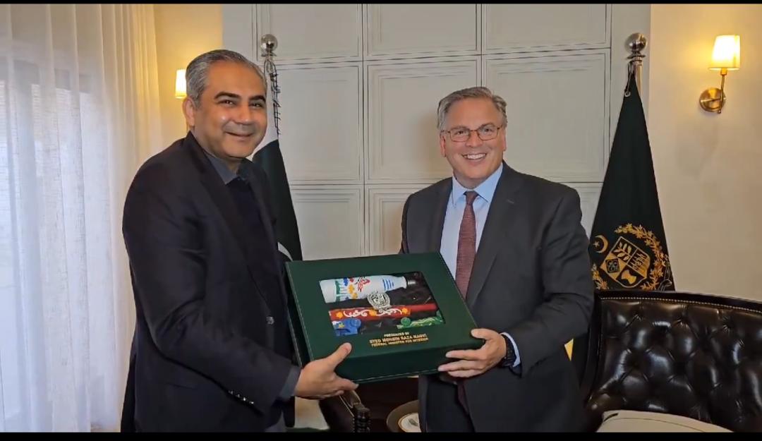 محسن نقوي: هیڅ بهرني ته په غیر قانوني توګه پاکستان کې د  اوسېدو اجازه نه ورکول کیږي