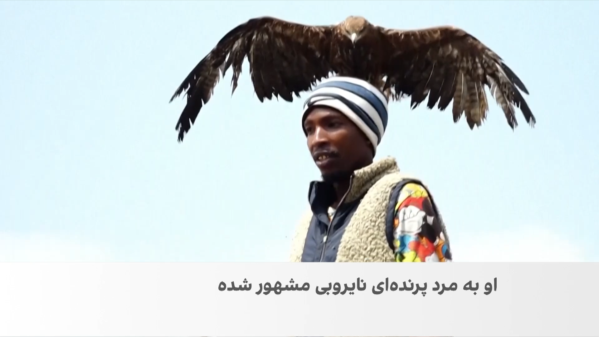 مرد پرنده‌ای نایروبی؛ زندگی متفاوت در کنار پرندگان وحشی