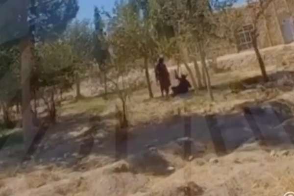 متحدې جبهې په هلمند او کندهار ولایتونو کې د دوو طالبانو د وژلو خبر ور کړی
