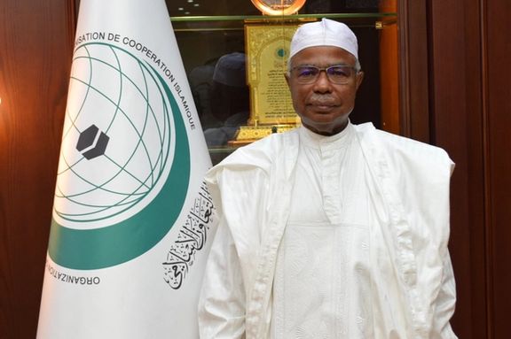 سازمان همکاری اسلامی خواستار مشارکت بیشتر زنان در عرصه دانش شد