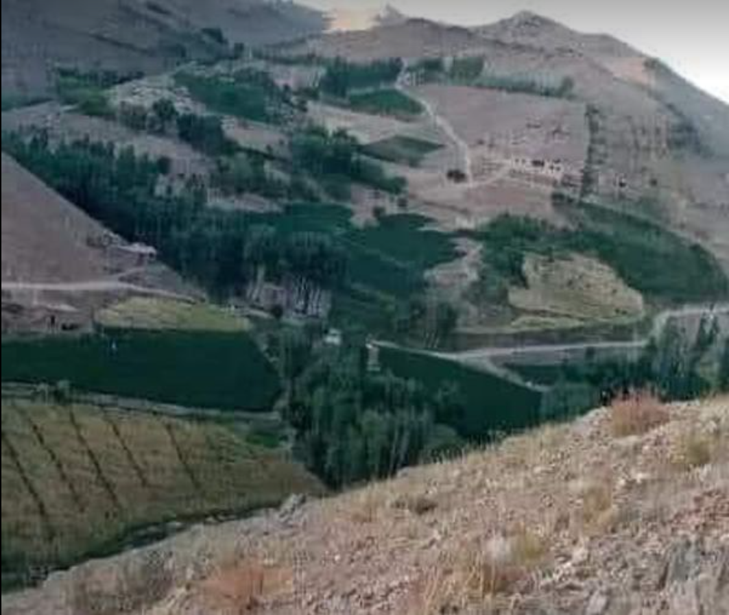 Taliban Forces Attack Sewak Shibar Area In Daikundi, Kill 9 Civilians