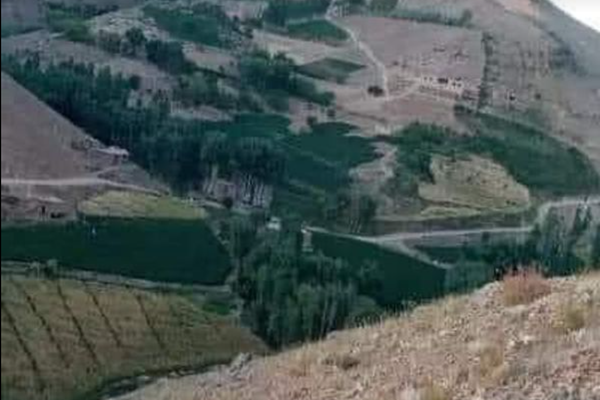 Taliban Forces Attack Sewak Shibar Area In Daikundi, Kill 9 Civilians